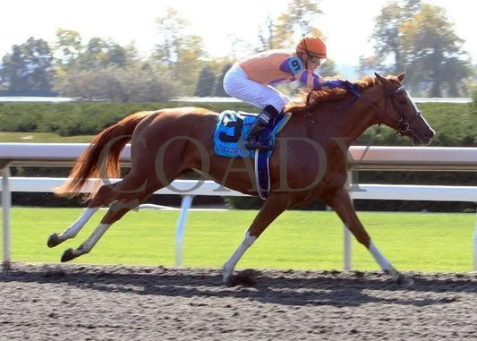 Miss Ruud - 2 100811 Race 04 Keeneland
