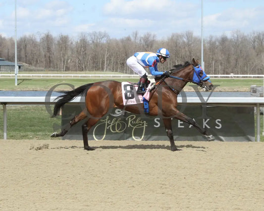MISSY BEE - 03-22-25 - R05 - TP - Finish 01 Turfway Park