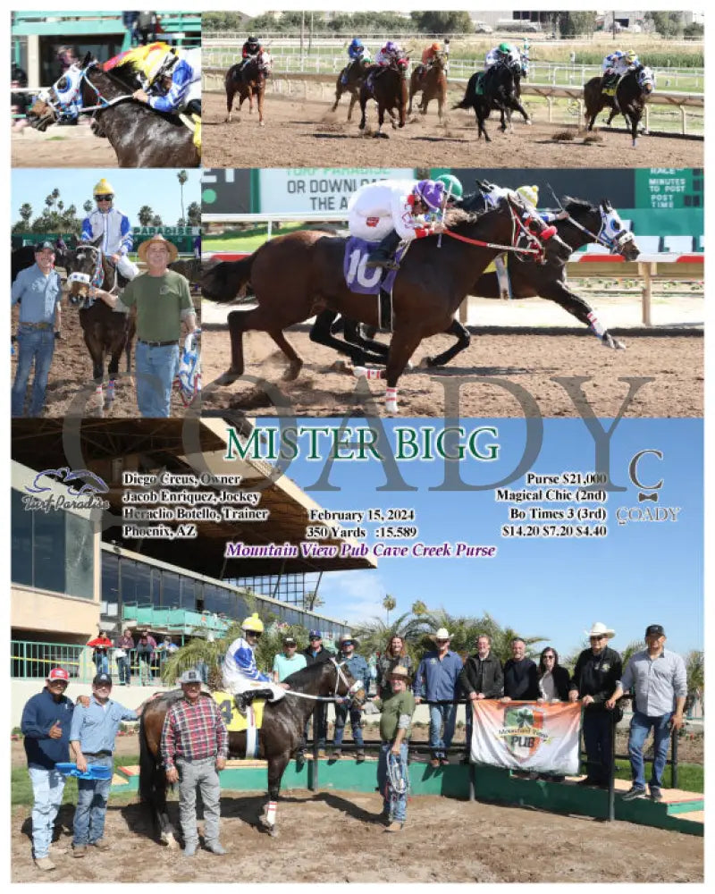 Mister Bigg - 02-15-24 R03 Tup Turf Paradise