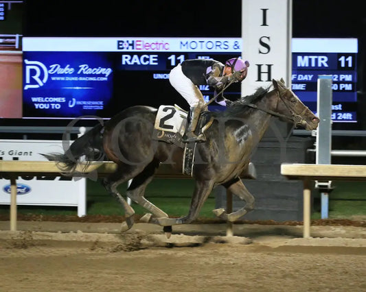 MISTER T - Indiana Futurity - 26th Running - 11-13-25 - R11 - Horseshoe Indiana - Finish 01 Indiana Grand