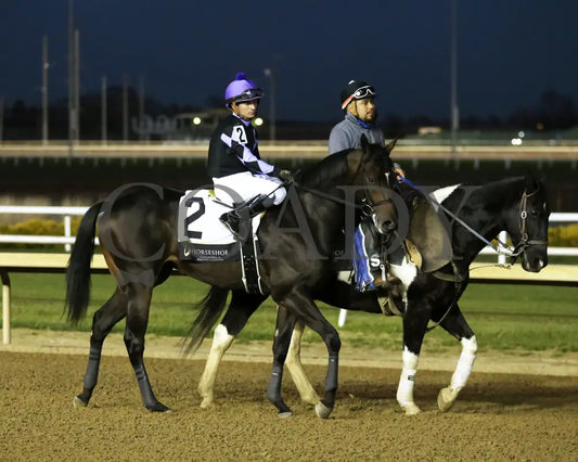 MISTER T - Indiana Futurity - 26th Running - 11-13-25 - R11 - Horseshoe Indiana - Post Parade 01 Indiana Grand