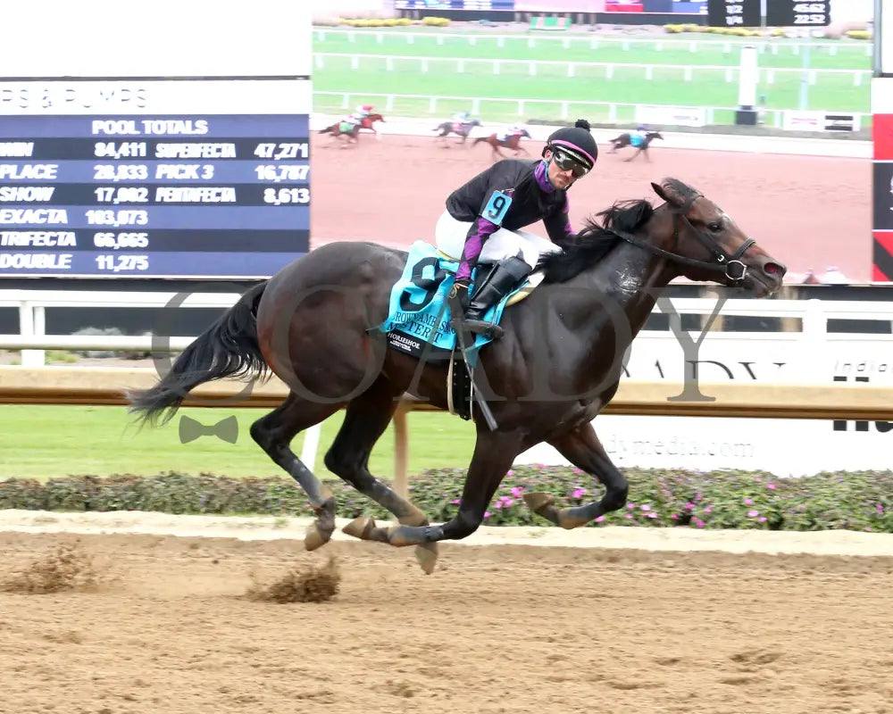 MISTER T - The Crown Ambassador - 27th Running - 10-25-25 - R05 - Horseshoe Indiana - Finish 01 - Sammantha Pagels