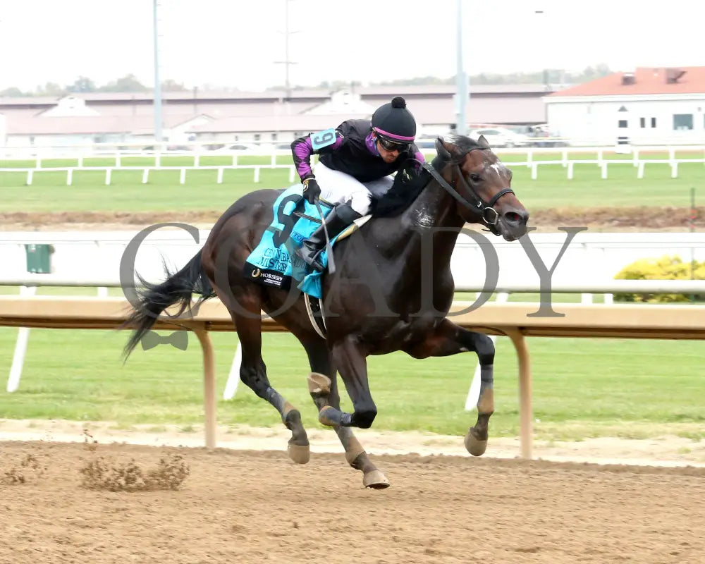 MISTER T - The Crown Ambassador - 27th Running - 10-25-25 - R05 - Horseshoe Indiana - Finish 02 - Sammantha Pagels