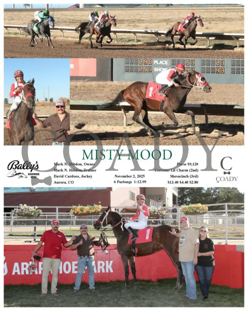 MISTY MOOD - 11-02-25 - R08 - ARP Arapahoe Park