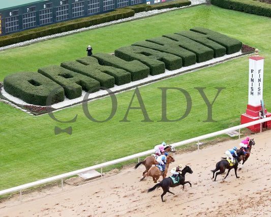 Misty Veil - The Pippin Stakes 42Nd Running 01-06-24 R09 Op Aerial First Pass 01 Oaklawn Park