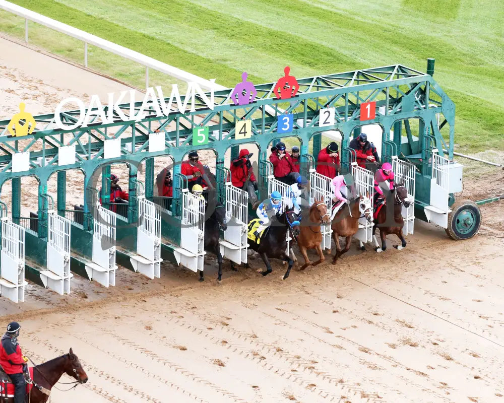 Misty Veil - The Pippin Stakes 42Nd Running 01-06-24 R09 Op Aerial Start 01 Oaklawn Park