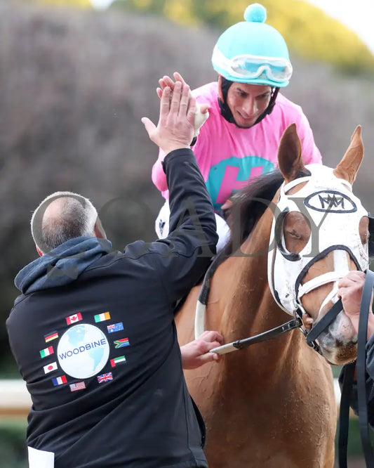 Misty Veil - The Pippin Stakes 42Nd Running 01-06-24 R09 Op Celebration 01 Oaklawn Park