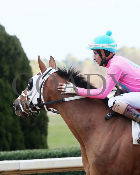 Misty Veil - The Pippin Stakes 42Nd Running 01-06-24 R09 Op Come Back 02 Oaklawn Park