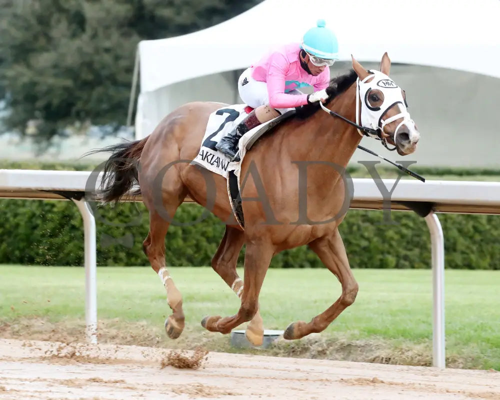 Misty Veil - The Pippin Stakes 42Nd Running 01-06-24 R09 Op Finish 02 Oaklawn Park