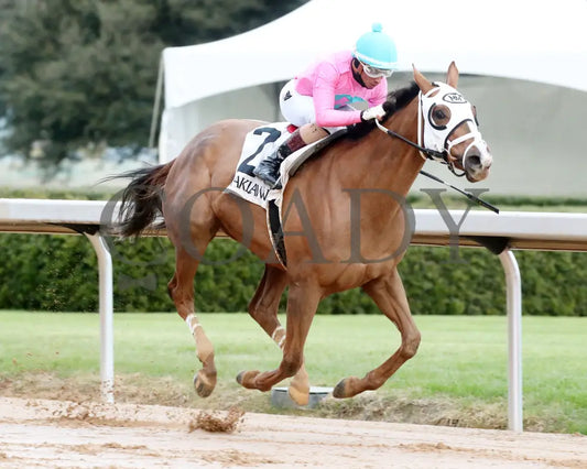 Misty Veil - The Pippin Stakes 42Nd Running 01-06-24 R09 Op Finish 02 Oaklawn Park