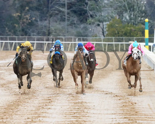 Misty Veil - The Pippin Stakes 42Nd Running 01-06-24 R09 Op Head On 01 Oaklawn Park
