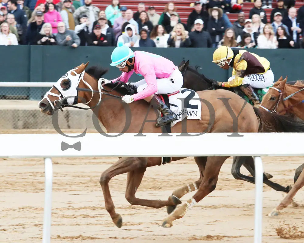 Misty Veil - The Pippin Stakes 42Nd Running 01-06-24 R09 Op Inside Finish 01 Oaklawn Park