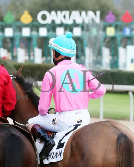 Misty Veil - The Pippin Stakes 42Nd Running 01-06-24 R09 Op Post Parade 02 Oaklawn Park