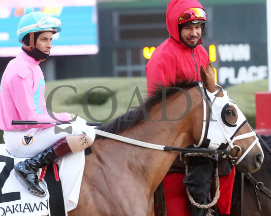 Misty Veil - The Pippin Stakes 42Nd Running 01-06-24 R09 Op Post Parade 03 Oaklawn Park