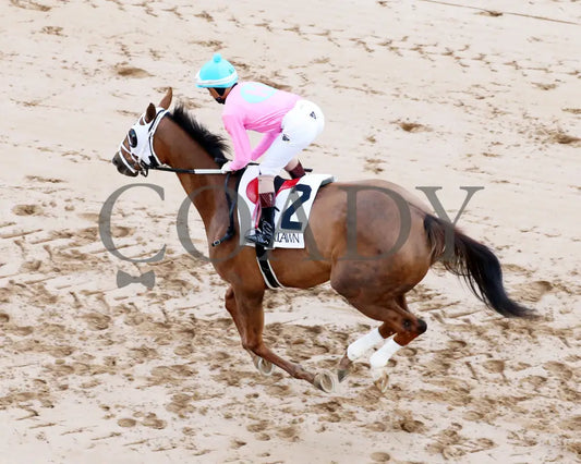 Misty Veil - The Pippin Stakes 42Nd Running 01-06-24 R09 Op Post Parade 04 Oaklawn Park