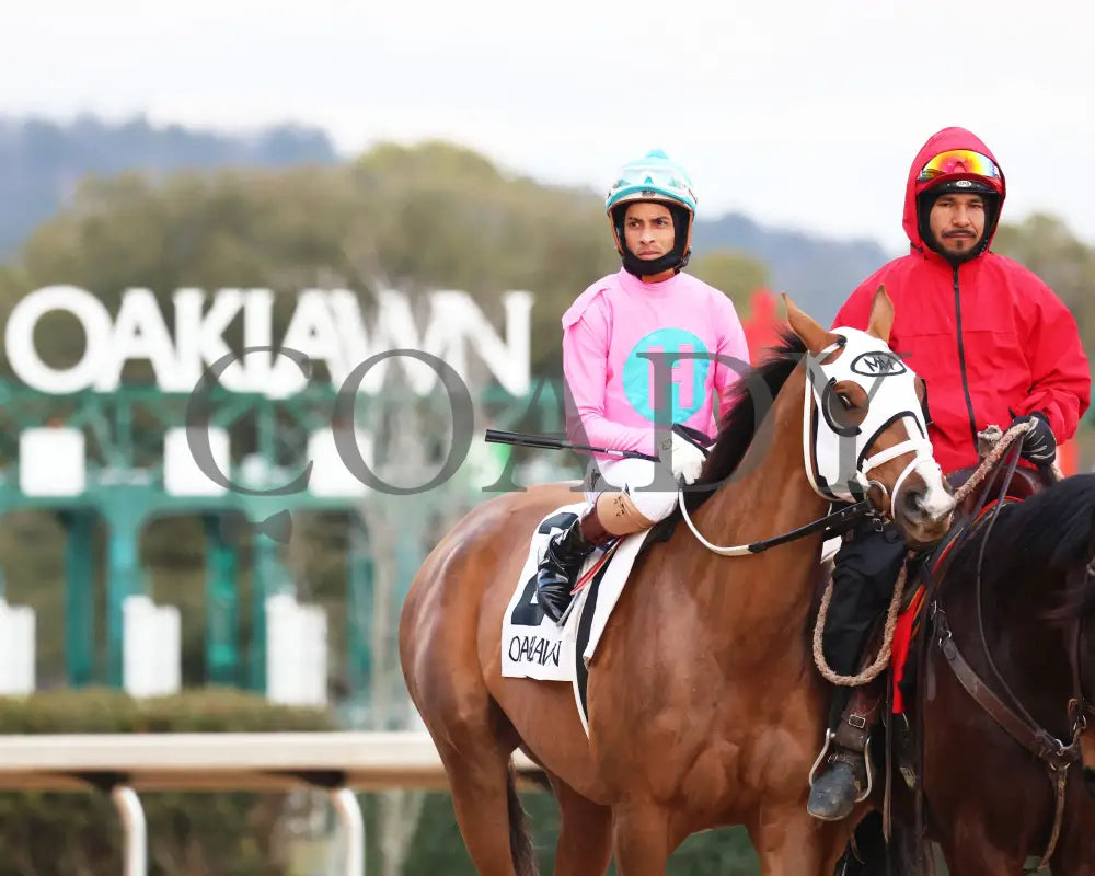 Misty Veil - The Pippin Stakes 42Nd Running 01-06-24 R09 Op Post Parade 01 Oaklawn Park