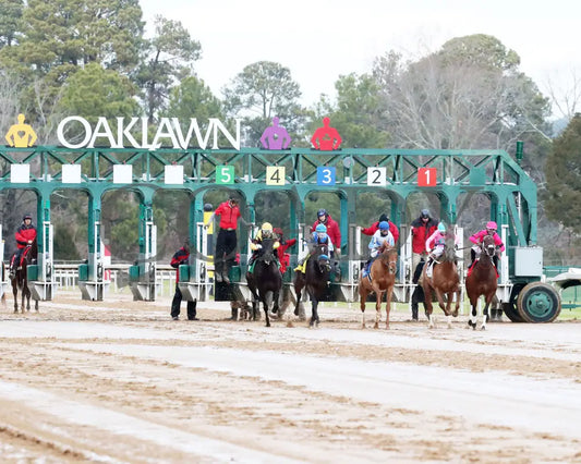 Misty Veil - The Pippin Stakes 42Nd Running 01-06-24 R09 Op Start 02 Oaklawn Park