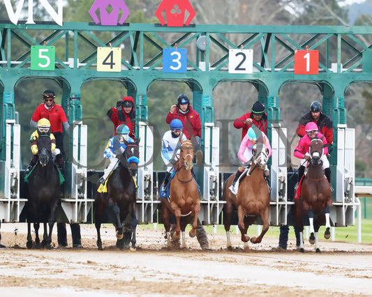 Misty Veil - The Pippin Stakes 42Nd Running 01-06-24 R09 Op Start 01 Oaklawn Park