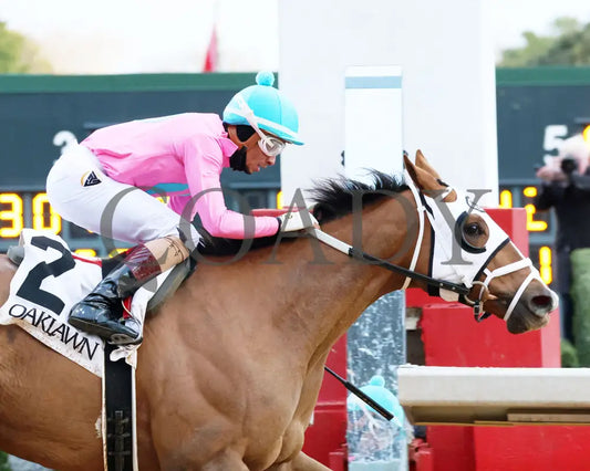 Misty Veil - The Pippin Stakes 42Nd Running 01-06-24 R09 Op Tight Finish 01 Oaklawn Park