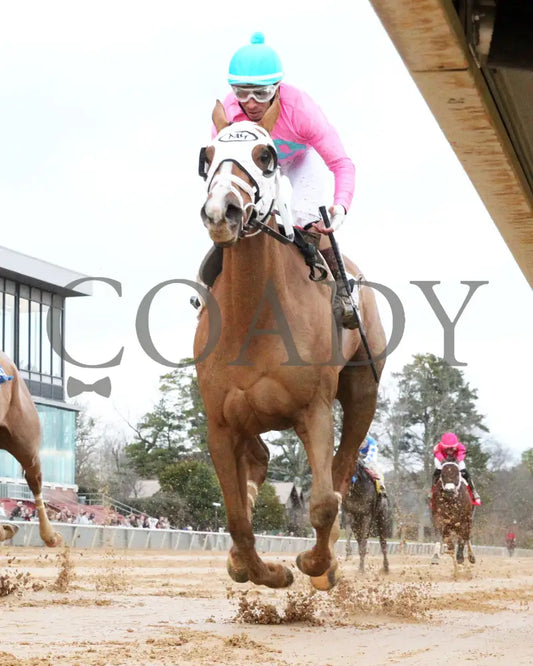 Misty Veil - The Pippin Stakes 42Nd Running 01-06-24 R09 Op Under Rail 02 Oaklawn Park