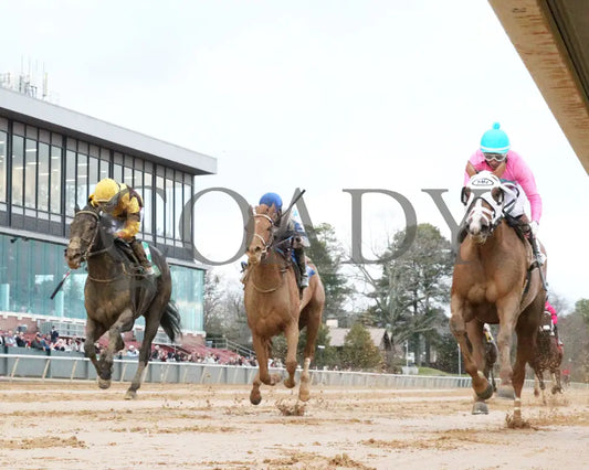 Misty Veil - The Pippin Stakes 42Nd Running 01-06-24 R09 Op Under Rail 01 Oaklawn Park
