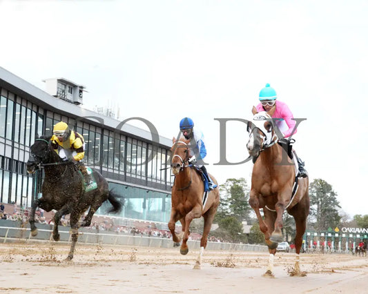 Misty Veil - The Pippin Stakes 42Nd Running 01-06-24 R09 Op Under Rail Start 01 Oaklawn Park