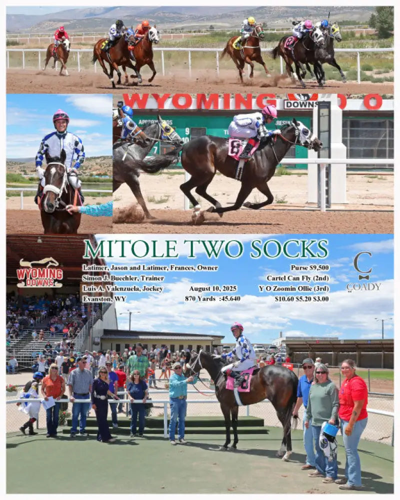 MITOLE TWO SOCKS - 08-10-25 - R03 - WYO Wyoming Downs