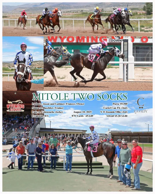 MITOLE TWO SOCKS - 08-10-25 - R03 - WYO Wyoming Downs