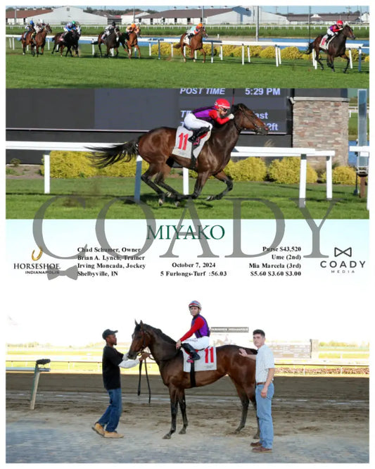 Miyako - 10-07-24 R07 Ind Indiana Grand