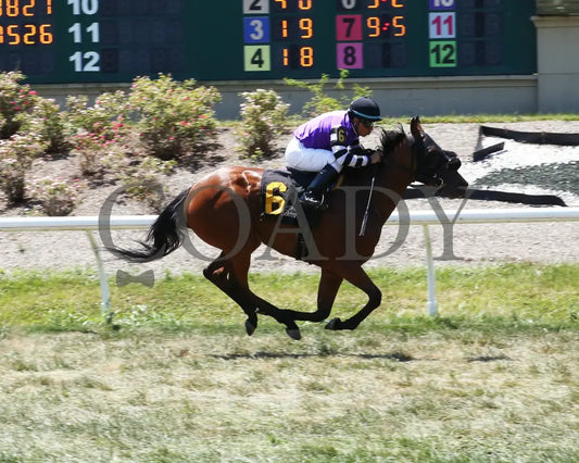 Miz Keeta - 062824 Race 01 Btp The Cincinnatian Stakes Finish01 Belterra Park
