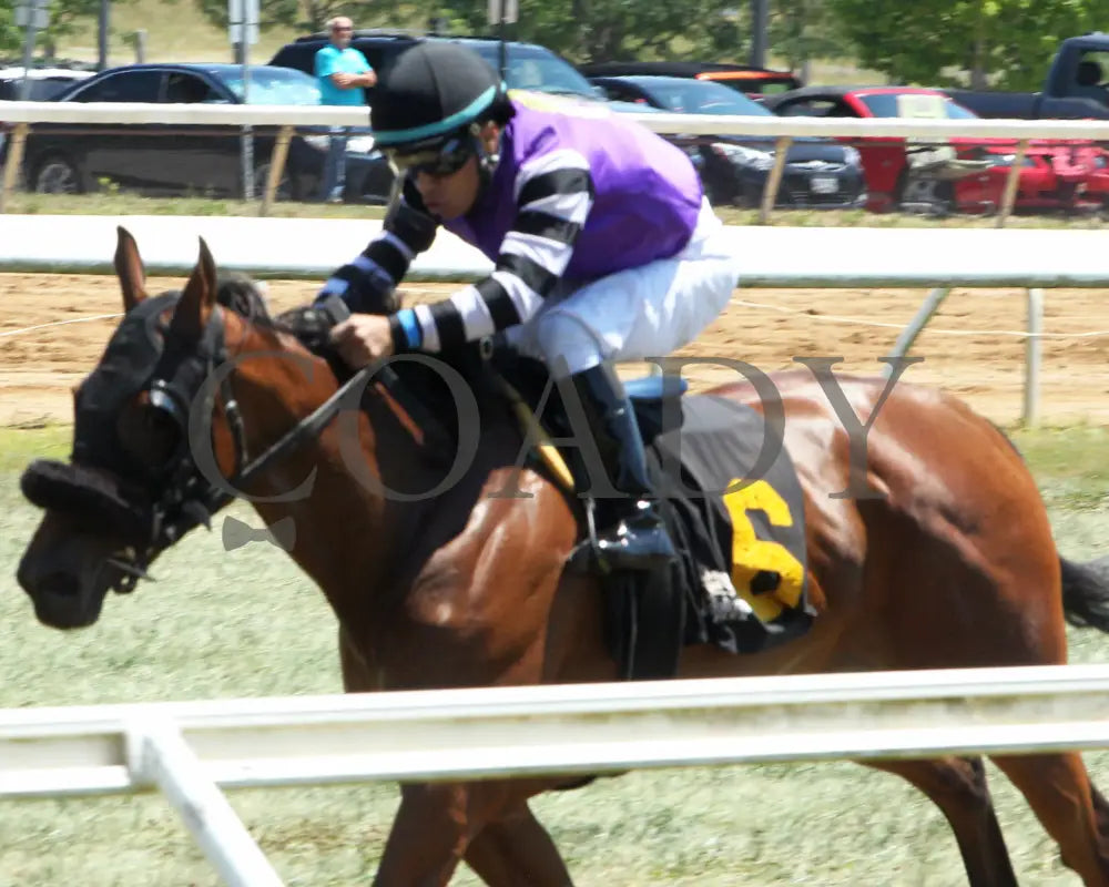 Miz Keeta - 062824 Race 01 Btp The Cincinnatian Stakes Inside Rail01 Belterra Park