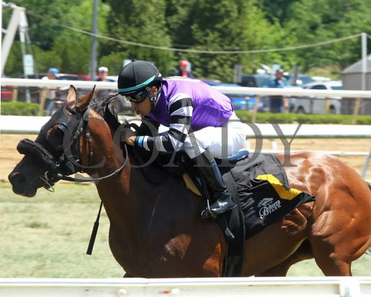 Miz Keeta - 062824 Race 01 Btp The Cincinnatian Stakes Tight Finish01 Belterra Park