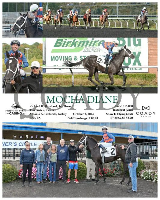 Mocha Diane - 10-02-24 R05 Pid Presque Isle Downs
