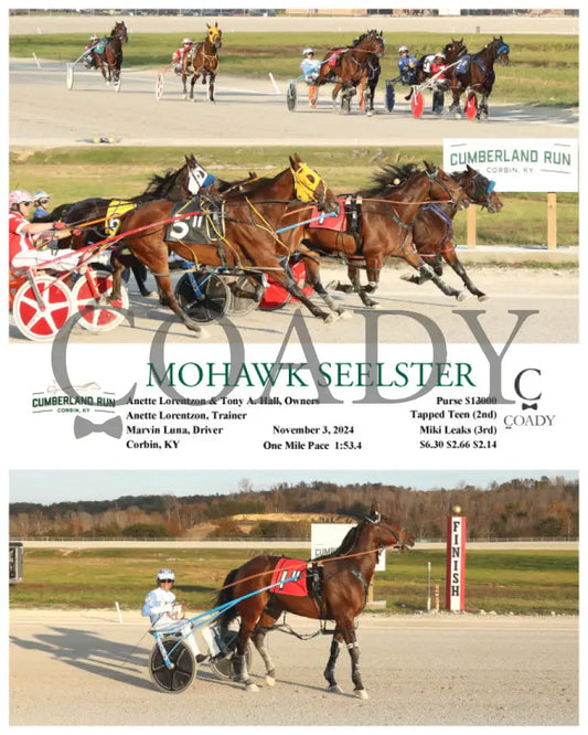 Mohawk Seelster - 11-03-24 R11 Clr Cumberland Run