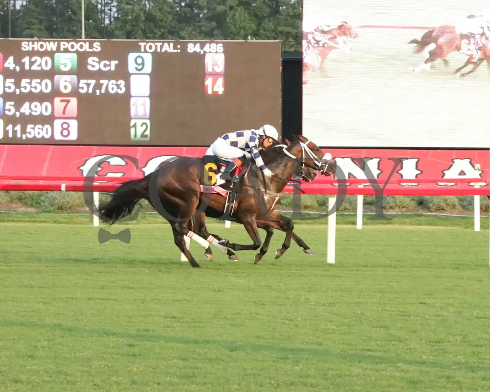 Moira - The Beverly D. 08-11-24 R10 Cnl Finish 01 Colonial Downs