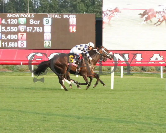 Moira - The Beverly D. 08-11-24 R10 Cnl Finish 01 Colonial Downs