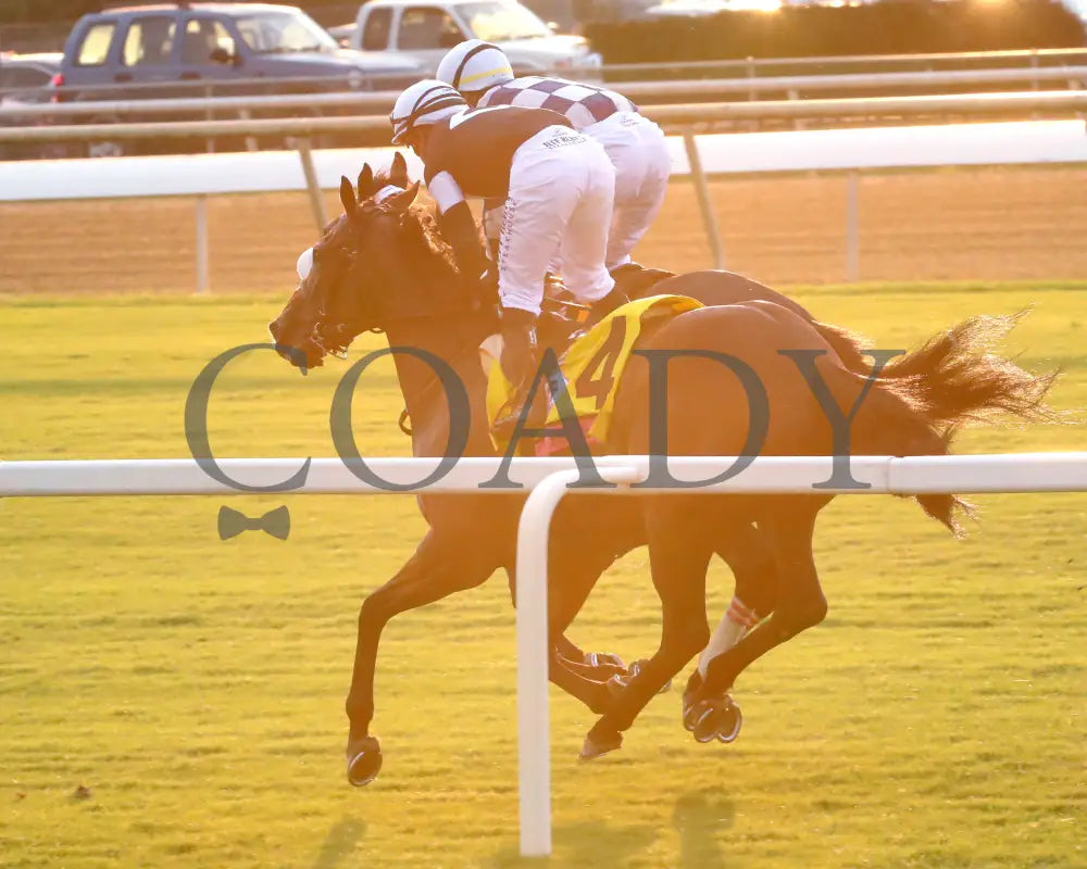 Moira - The Beverly D. 08-11-24 R10 Cnl Gallop Out 01 Colonial Downs