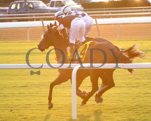 Moira - The Beverly D. 08-11-24 R10 Cnl Gallop Out 01 Colonial Downs