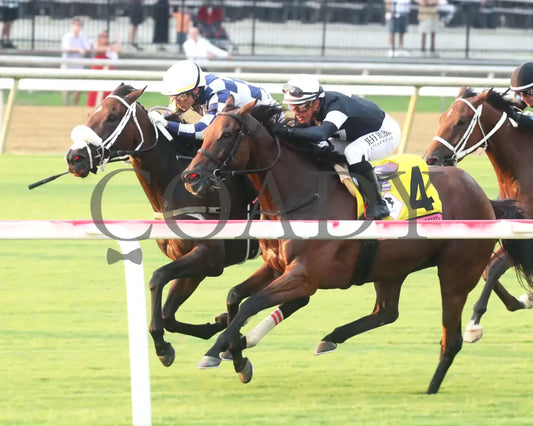 Moira - The Beverly D. 08-11-24 R10 Cnl Inside Finish 01 Colonial Downs