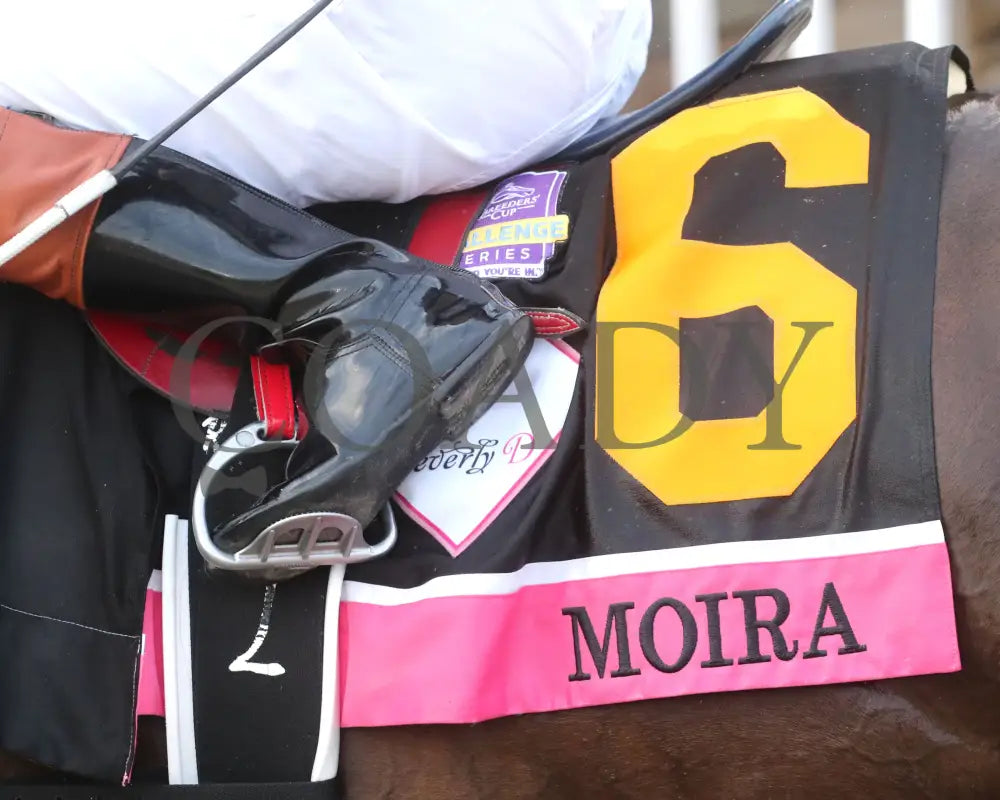 Moira - The Beverly D. 08-11-24 R10 Cnl Saddle Towel 01 Colonial Downs