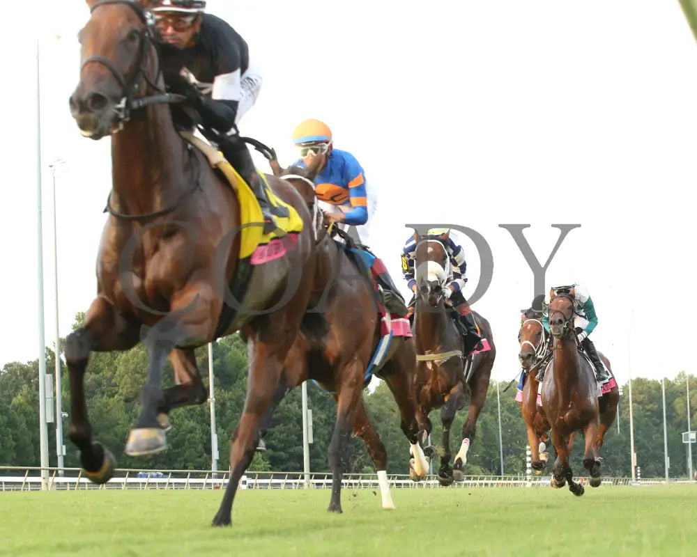 Moira - The Beverly D. 08-11-24 R10 Cnl Under Rail First Pass 01 Colonial Downs