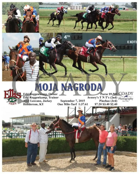Moja Nagroda - 090715 Race 01 Elp Ellis Park