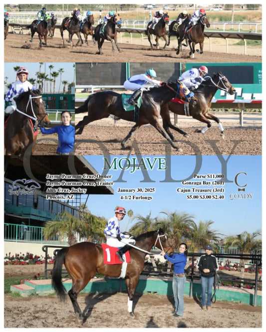 Mojave - 01-30-25 R08 Tup Turf Paradise