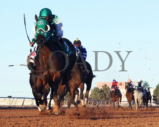 MOJICA - New Mexico Classic Derby - 11-24-25 - R10 - Zia Park - Under Rail - Coady Media - Kurtis Coady Photography