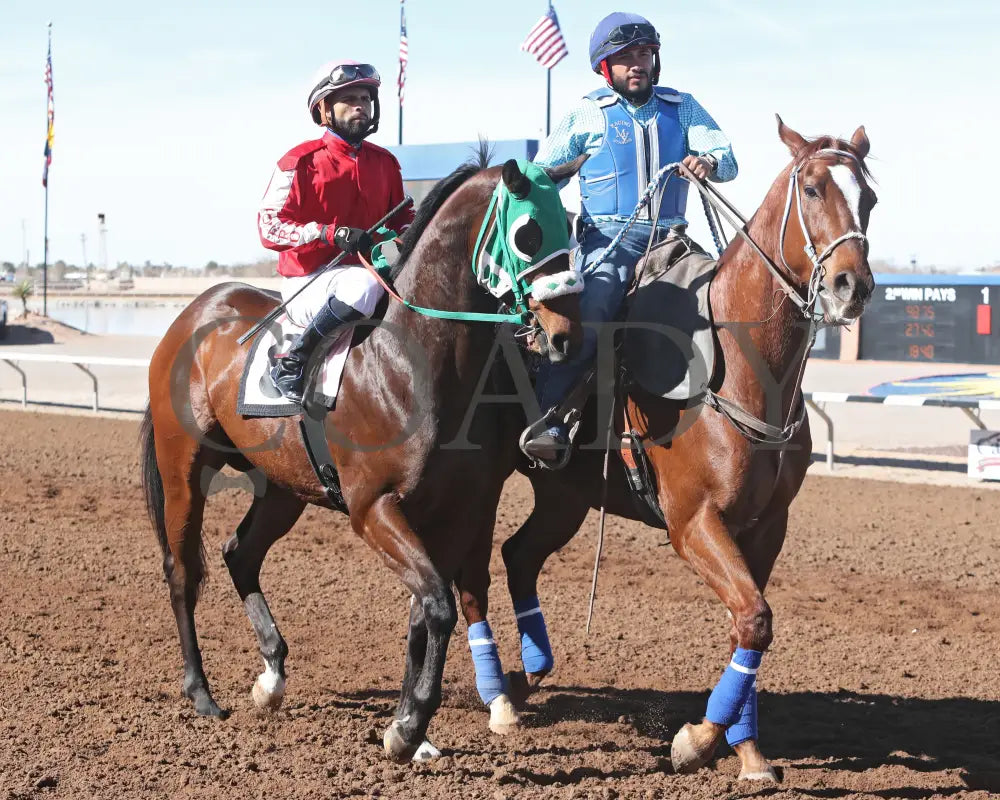 MOJICA - Red Hedeman Mile - 22nd Running - 02-16-25 - R06 - Sunland Park - Post Parade Turfway Park
