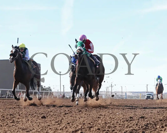 MOJICA - Red Hedeman Mile - 22nd Running - 02-16-25 - R06 - Sunland Park - Under Rail Turfway Park