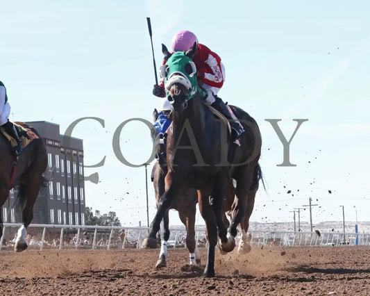 MOJICA - Red Hedeman Mile - 22nd Running - 02-16-25 - R06 - Sunland Park - Under Rail2 Turfway Park