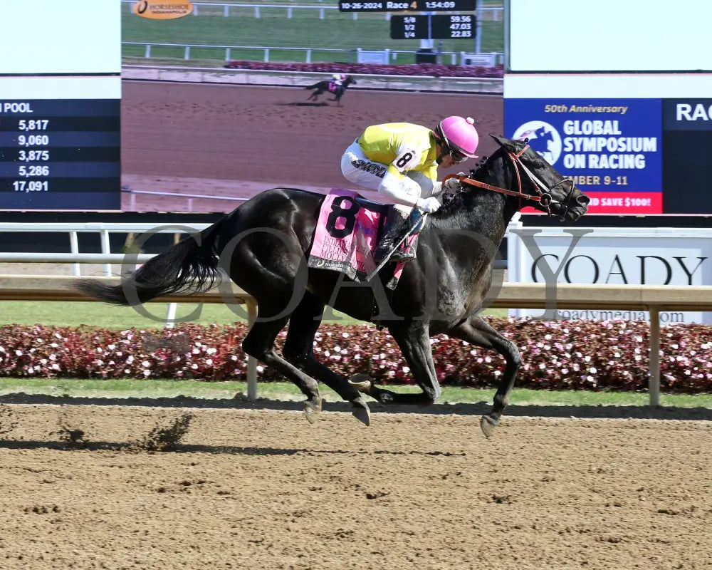 Molly’s Potion - Indiana Stallion Filly Division Sired 10-26-24 R04 Horseshoe Finish 01 Sammantha