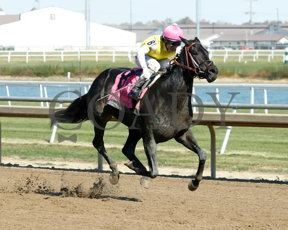 Molly’s Potion - Indiana Stallion Filly Division Sired 10-26-24 R04 Horseshoe Finish 02 Devin