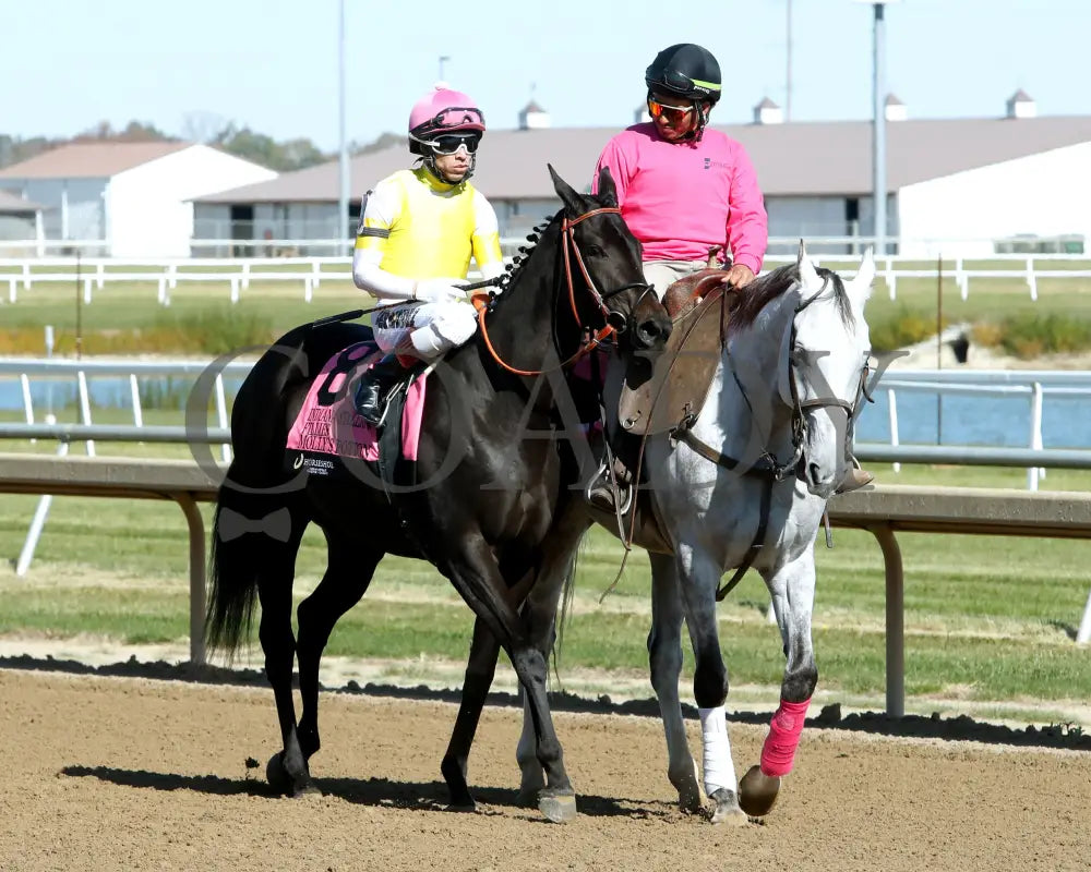 Molly’s Potion - Indiana Stallion Filly Division Sired 10-26-24 R04 Horseshoe Post Parade 01